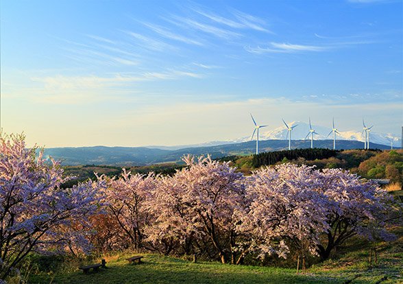 🏞️ 하마다테 공원 이미지 2